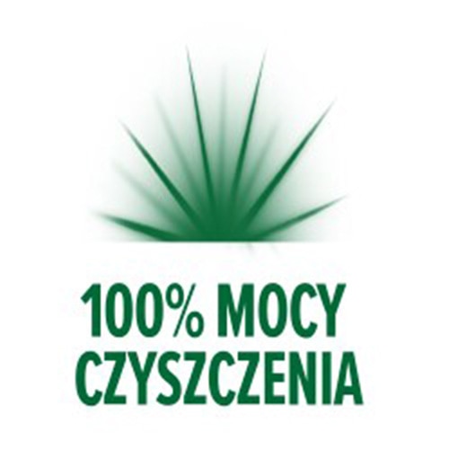 Zielone logo z grafiką promieniującego błysku oraz napisem '100% MOCY CZYSZCZENIA' na białym tle.
