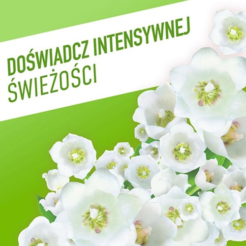 DOŚWIADCZ INTENSYWNEJ ŚWIEŻOŚCI